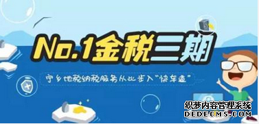 金稅三期